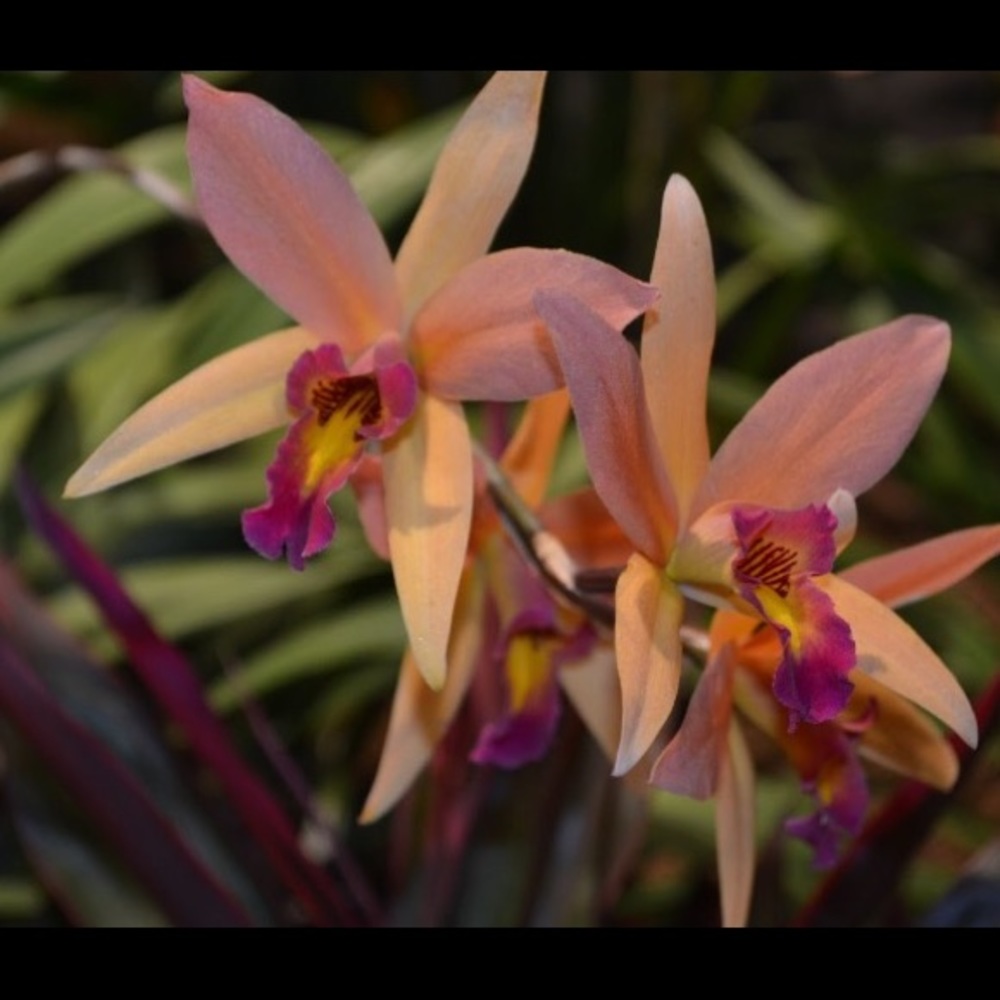 Meet your Posher, Bri